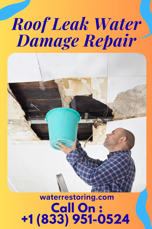 Roof Leak Water Damage Repair in Chemung, IL