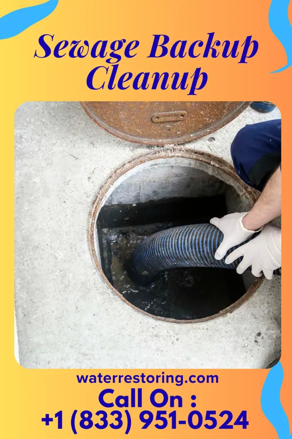 Sewage Backup Cleanup in Chemung, IL