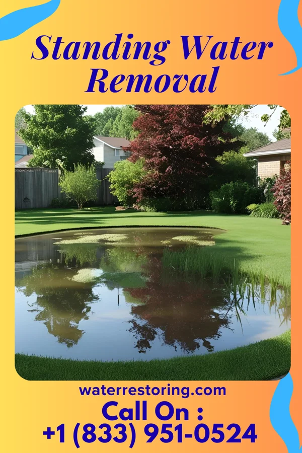 Standing Water Removal in Chemung, IL